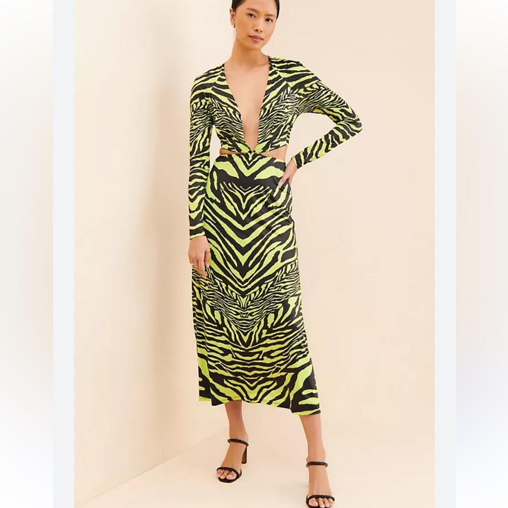 Zebra Print Long Sleeve Dress